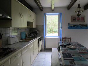 cuisine ouverte avec plan de travail 